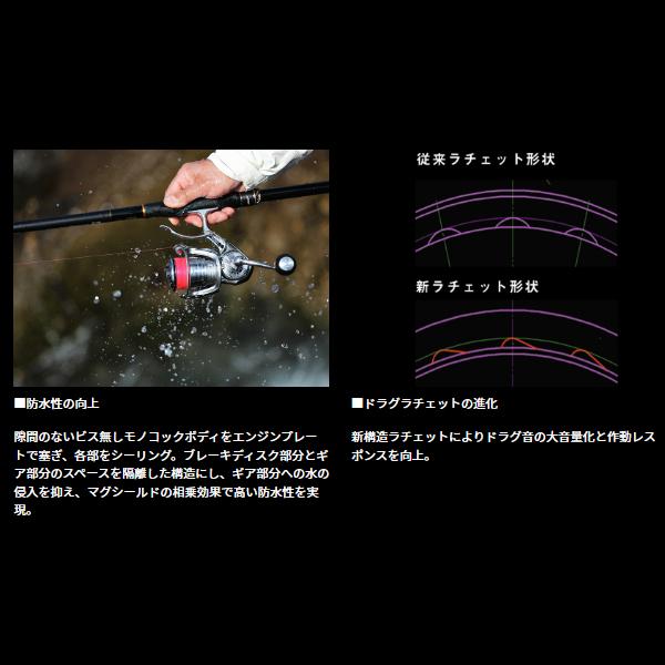 ダイワ (daiwa) 24 インパルト 3000LBD (2024年 9月新製品)の画像