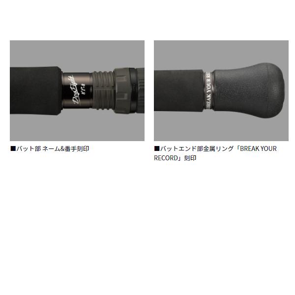 DAIWA（ダイワ） ソルティガ C ドッグファイト 76-10 キャスティング