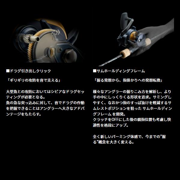 DAIWA（ダイワ） 25 ソルティガ 10HL (2025年 10月新製品) : 釣具