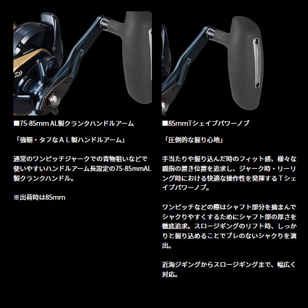 DAIWA（ダイワ） 25 ソルティガ 10HL (2025年 10月新製品) : 釣具
