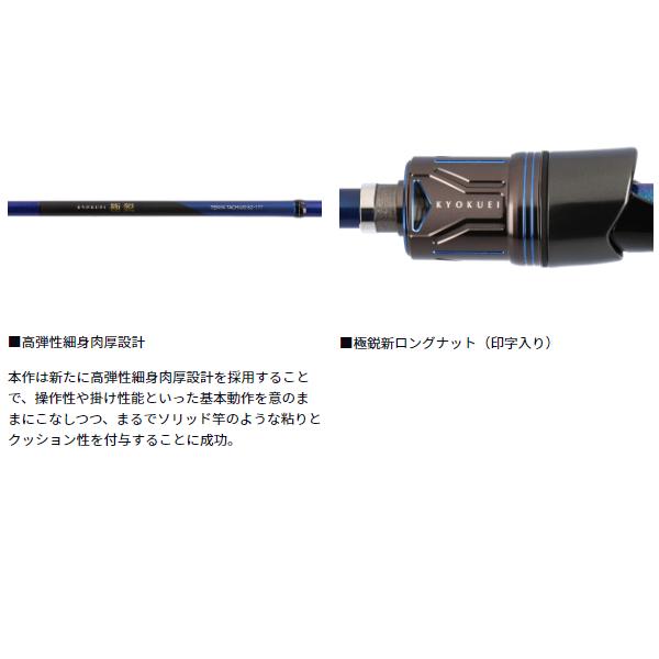 DAIWA（ダイワ） 極鋭 テンヤタチウオ 91H-161 (2025年 新製品) : 釣具