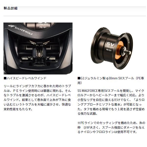 DAIWA（ダイワ） 26 シルバーウルフ CT SV TW 8.5L PE SPECIAL (2026年