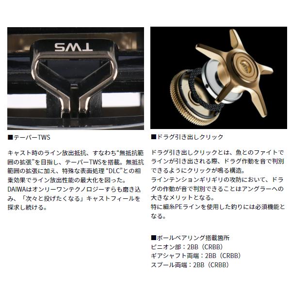 DAIWA（ダイワ） 26 シルバーウルフ CT SV TW 8.5L PE SPECIAL (2026年