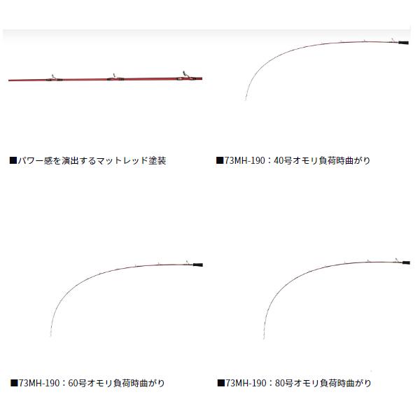 DAIWA（ダイワ） リーディングスリルゲーム 73H-190 (2025年 10月新