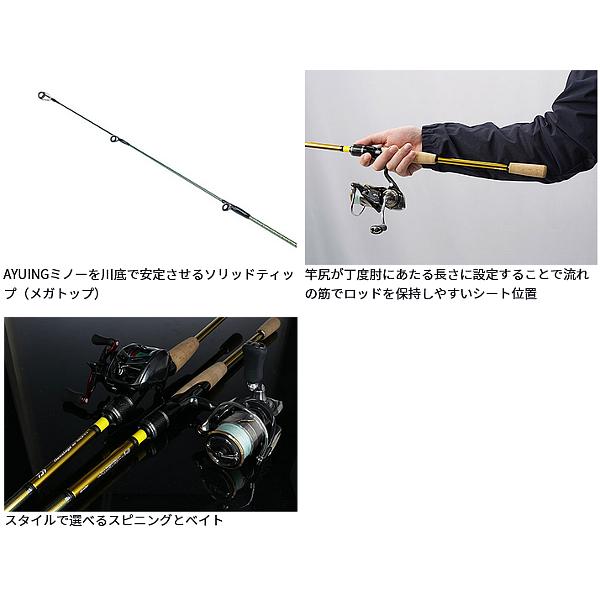 DAIWA（ダイワ） ネオステージ AY 99LB-S (2026年 2月新製品) : 釣具
