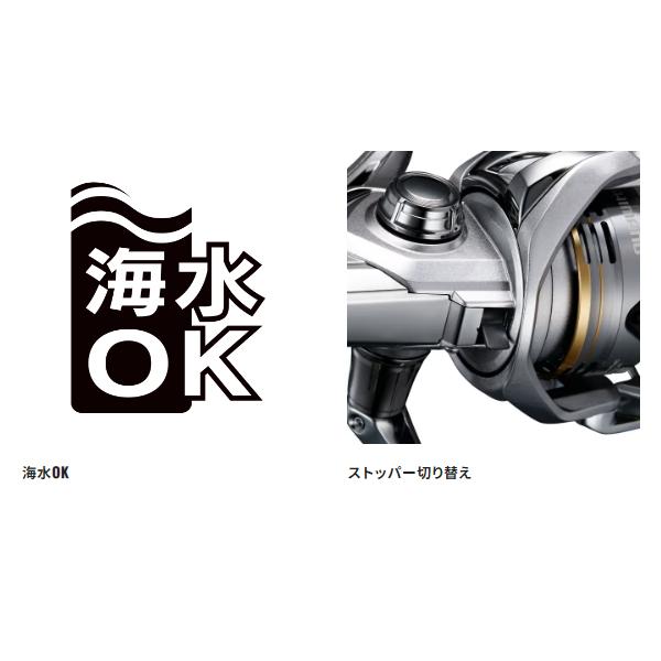シマノ 23 セドナ 2500 スピニング リール ( 2023年 7月新製品 シマノ 23 セドナ 2500 スピニング リール ( 2023年 7月新製品