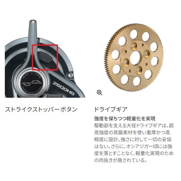 シマノ 24 オシアジガー LD 2500MG リール ベイト 送料無料 N シマノ 24 オシアジガー LD 2500MG リール ベイト 送料無料 N