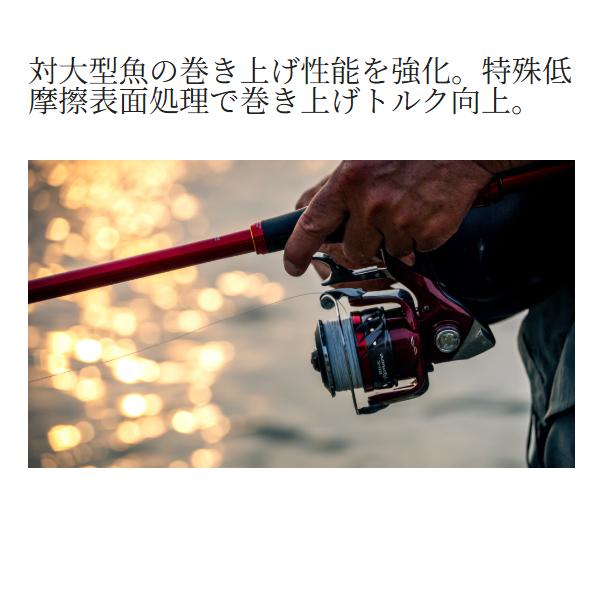 シマノ（SHIMANO） 26 BB-X レマーレ 6000DHG リール スピニング n