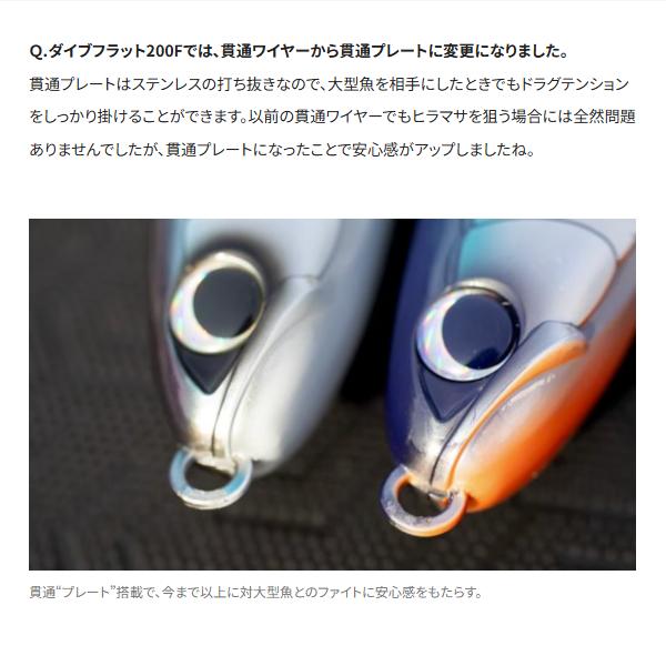 シマノ（SHIMANO） ( 只今 欠品中 ) オシア ダイブフラット 200F OT