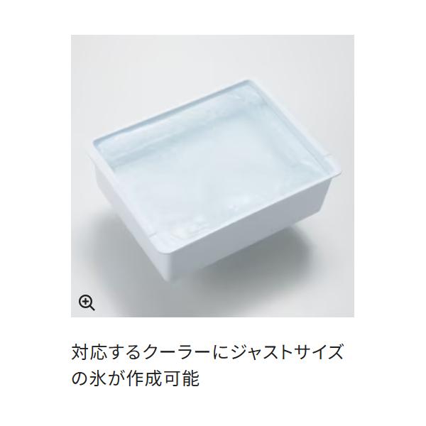 シマノ（SHIMANO） クーラートレー タイプA NA-B20Y ホワイト : 釣具
