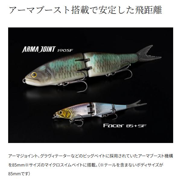 シマノ（SHIMANO） (取寄せ 9月末頃メーカー生産予定) ( 同色2個セット