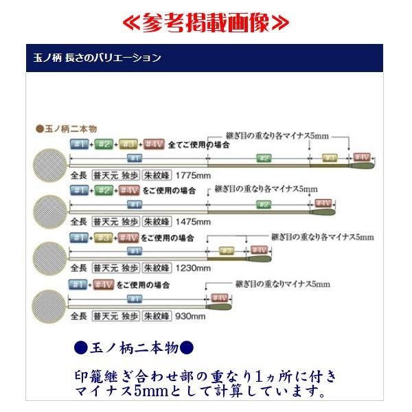 シマノ（SHIMANO） ☆シマノ 朱紋峰 竿掛二本半物 ロッド へら竿