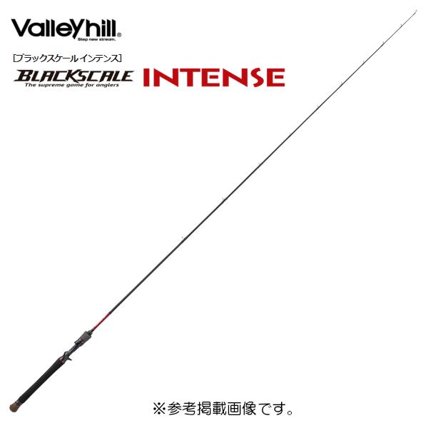 Valleyhill（バレーヒル） ブラックスケールINTENSE BKTS-68LXS @240