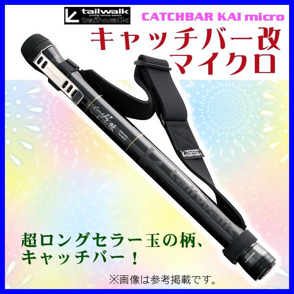 殿堂 テイルウォーク キャッチバー改480 その他 Www Superkiters It