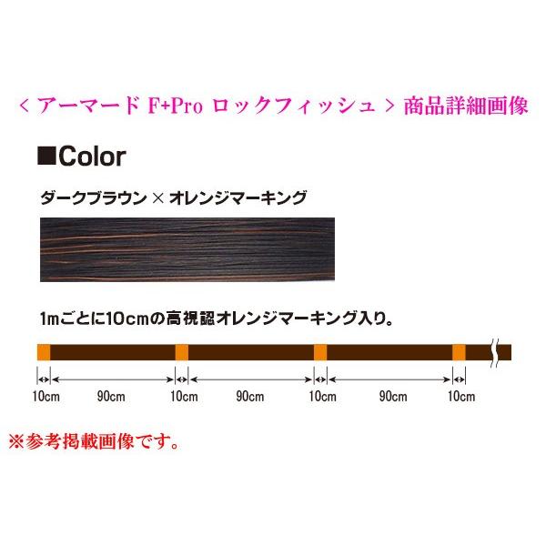 DUEL（デュエル） アーマード F+ プロ ( armored F+ Pro ) ロック