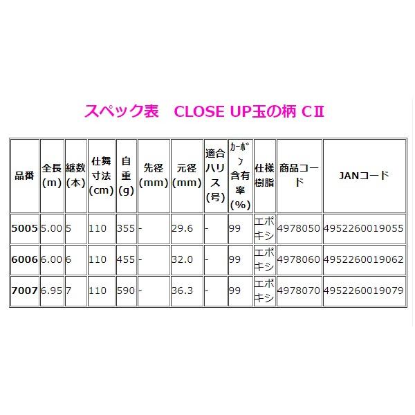 宇崎日新 　CLOSE UP （ クローズアップ ）玉の柄 CII 　6006 　6.00m 