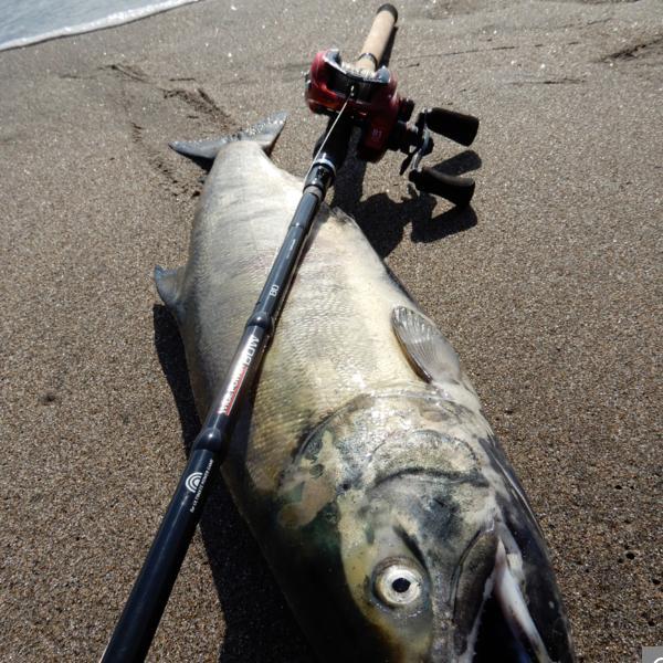 tailwalk（テイルウォーク） ワイドパワーボウ (WIDEPOWER BOW) 80