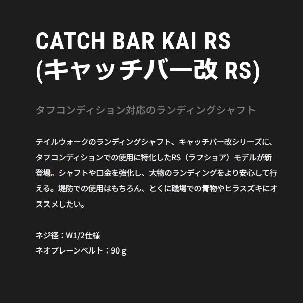 テイルウォーク キャッチバー改 RS 650 6.5m_1