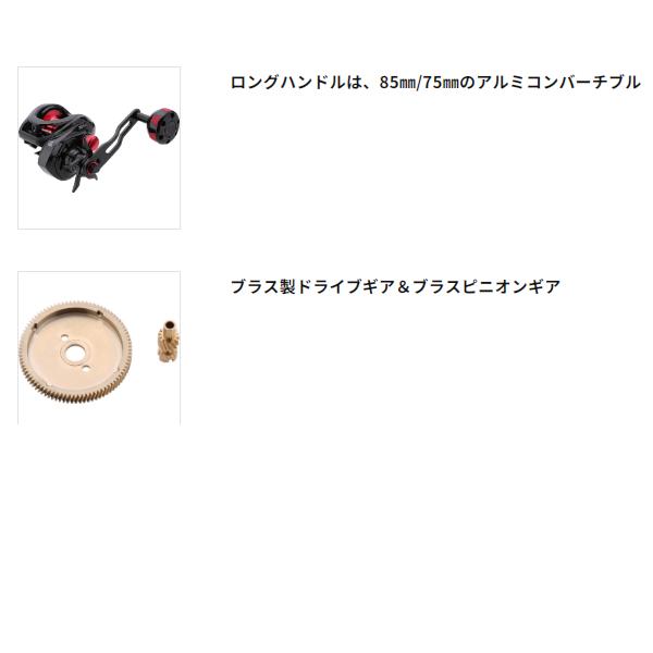 alpha tackle（アルファタックル） ディーノタコ 300-PH/L (2025年 新