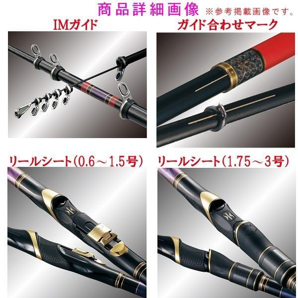 インテッサ250 磯竿