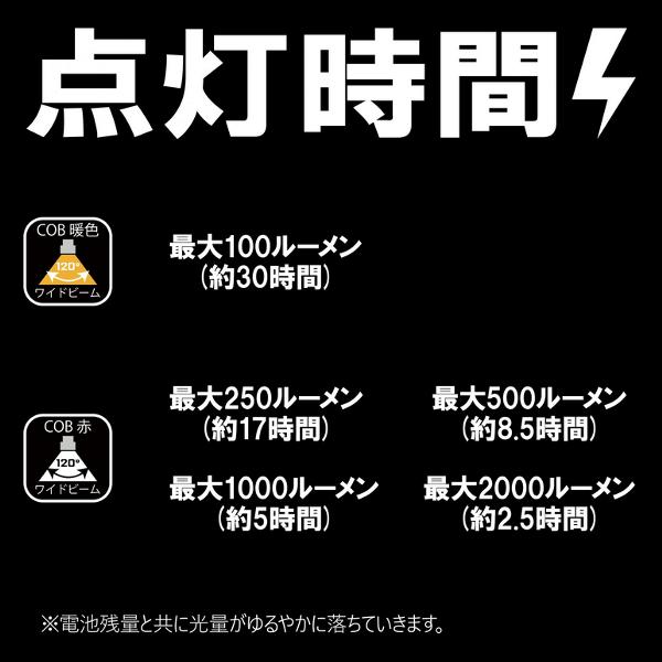 Gamakatsu（がまかつ） フラッドライト LEFL2000 ( 2024年 11月新製品