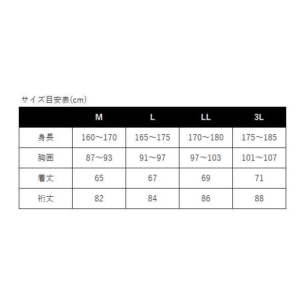 Gamakatsu（がまかつ） UDジップシャツ GM3778 アイスホワイト M
