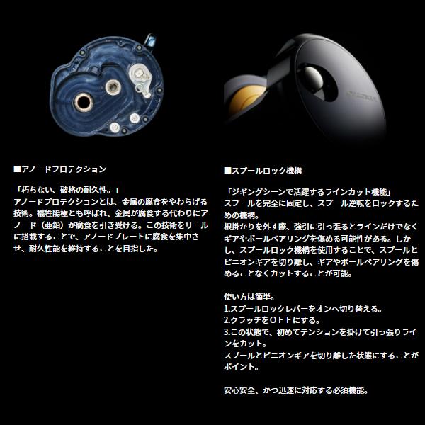 DAIWA（ダイワ） 25 ソルティガ35H ベイトリール (2025年 新製品