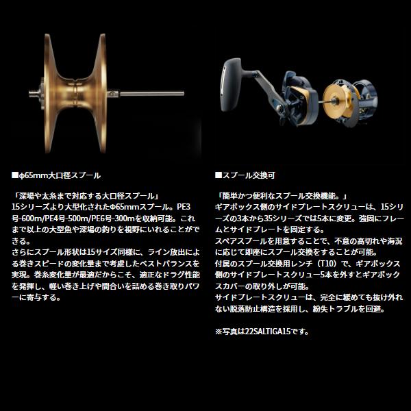 DAIWA（ダイワ） 25 ソルティガ35H ベイトリール (2025年 新製品