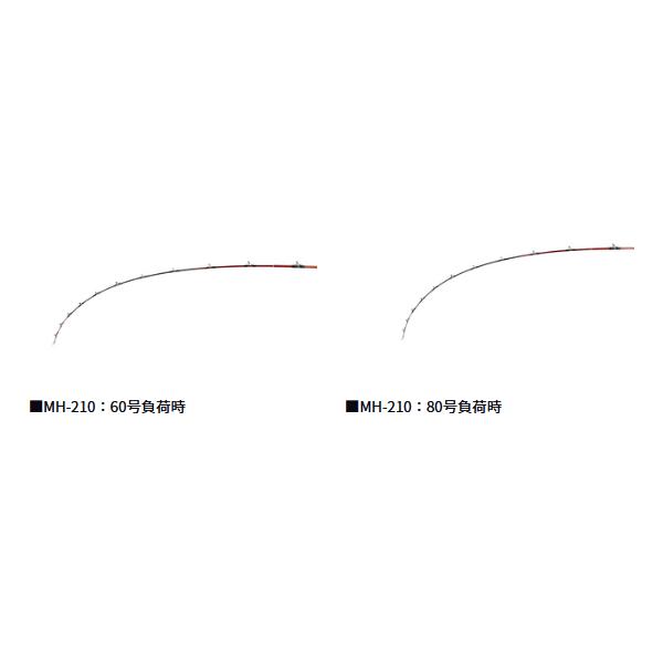 DAIWA（ダイワ） ゴウイン ネモノ H-230 船竿 （ 2024年3月新製品