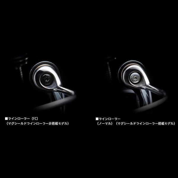 DAIWA（釣り） ダイワ (DAIWA) 24 セルテート FC LT2500S-DH