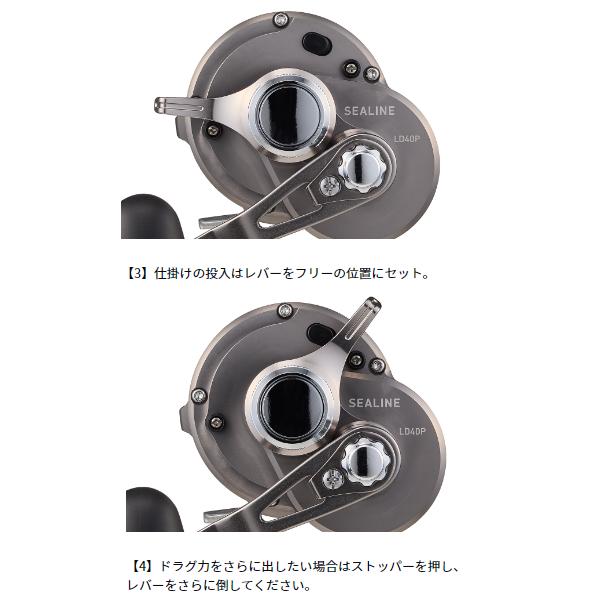 DAIWA（釣り） ダイワ (daiwa) 24 シーライン LD40P (2024年 3月