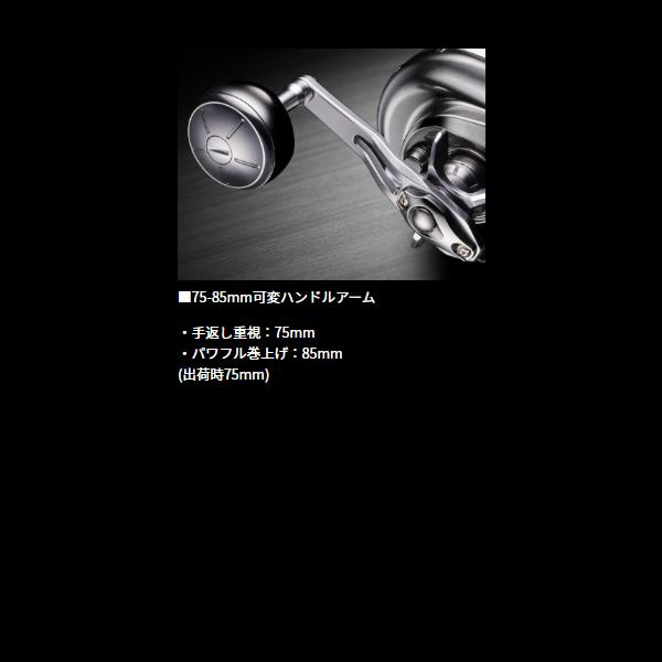 DAIWA（ダイワ） 26 シーボーグ 500J (2026年 1月新製品) : フーガ