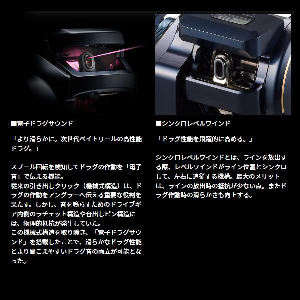 DAIWA（ダイワ） 25 ソルティガ IC 300L-C (2026年 1月新製品