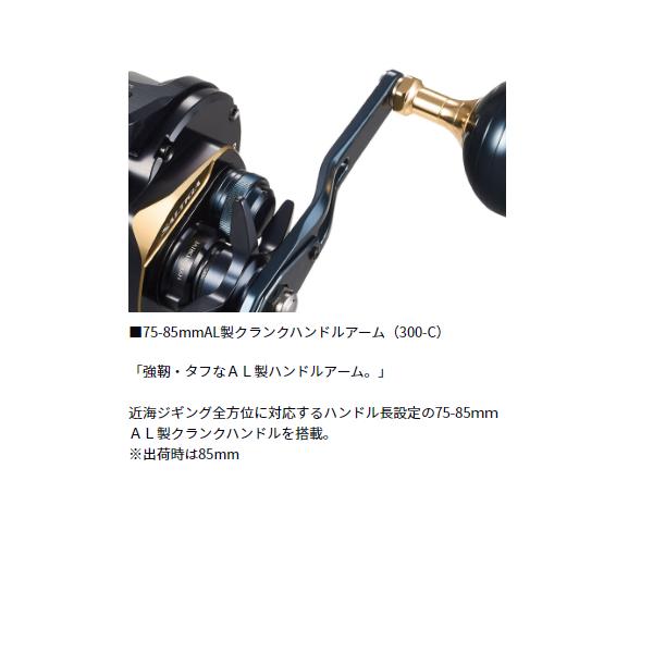 DAIWA（ダイワ） 25 ソルティガ IC 300L-C (2026年 1月新製品