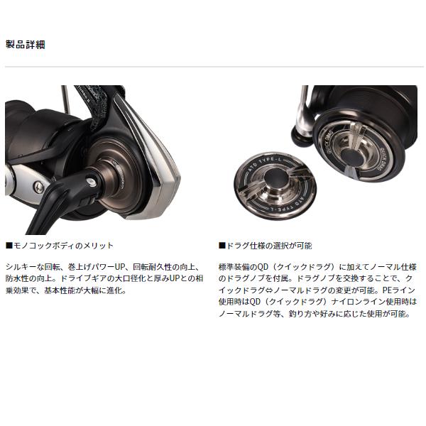 Daiwa 銀狼 LBQD スピニングリール 本体 DAIWA（ダイワ） 25 銀狼LBQD スピニングリール (2025年 新製品