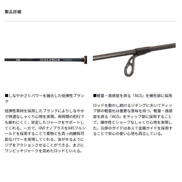 DAIWA（ダイワ） ソルティガ J ローレスポンス 63B-3 (2026年 4月新