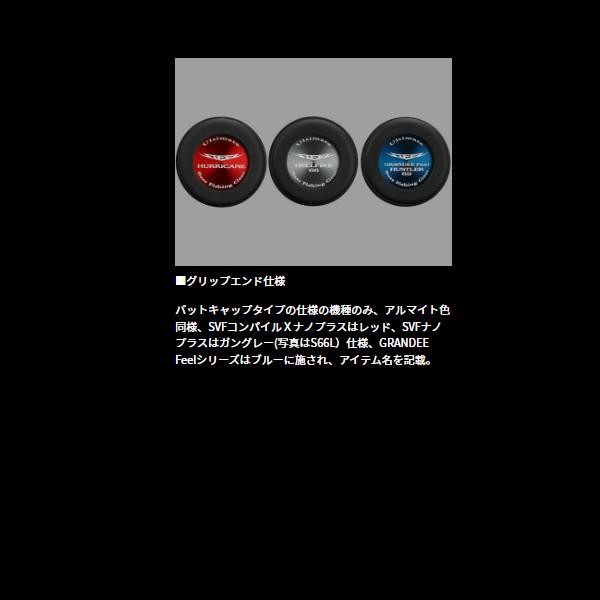 DAIWA（ダイワ） スティーズ ベイトキャスティングモデル C67MH-SV・ST