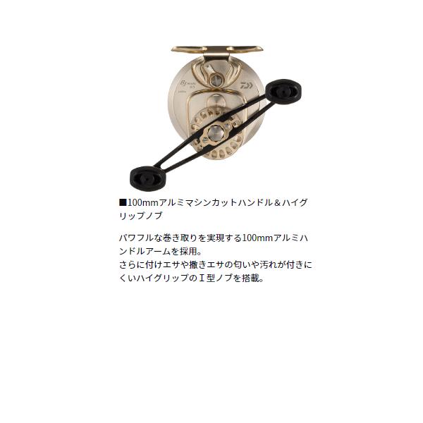 DAIWA（ダイワ） 25BJ イカダ 65L (2025年 9月新製品) : フーガ