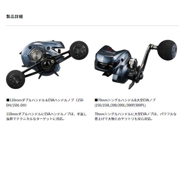 DAIWA（ダイワ） ライトゲーム RX IC 300P (2026年 4月新製品