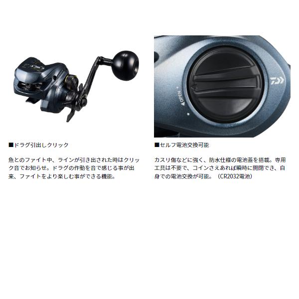DAIWA（ダイワ） ライトゲーム RX IC 300P (2026年 4月新製品