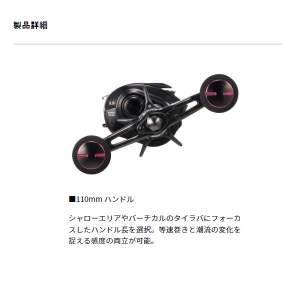 DAIWA（ダイワ） (先行予約) 紅牙 TW 80L (2026年 7月新製品) : フーガ