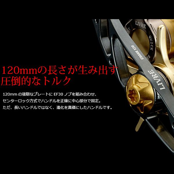 リブレ クランク120 メインプレートSET センターナット無し ガンメタP+