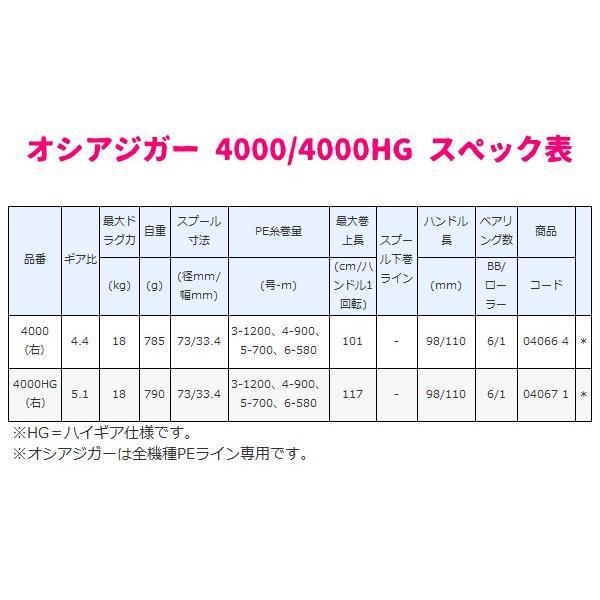 シマノ（SHIMANO） 爆買 送料無料 20 オシアジガー 4000HG（右