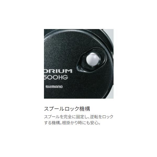 シマノ（SHIMANO） (取寄せ 7月末頃メーカー生産予定) 20 トリウム