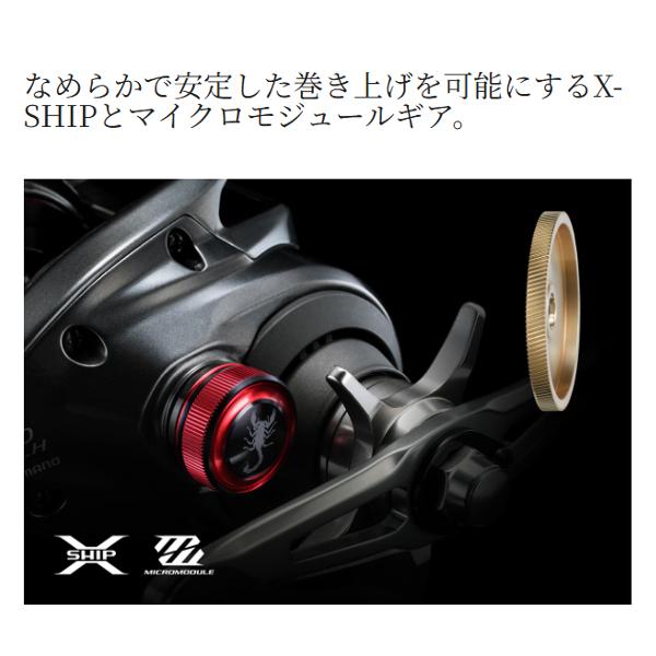 爆買 シマノ 　24 スコーピオン MD 　300XGLH RIGHT 右 　リール 　ベイト 　( 2024年 12月新製品 )「」