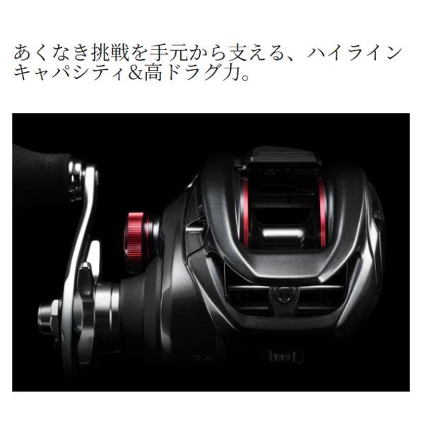 爆買 シマノ 　24 スコーピオン MD 　300XGLH RIGHT 右 　リール 　ベイト 　( 2024年 12月新製品 )「」