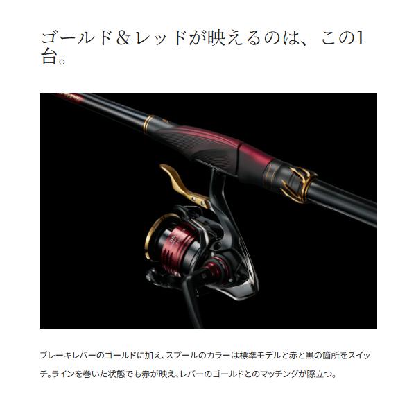 シマノ（SHIMANO） 25 BB-X ハイパーフォース タイプ2 C3000DXXG S L