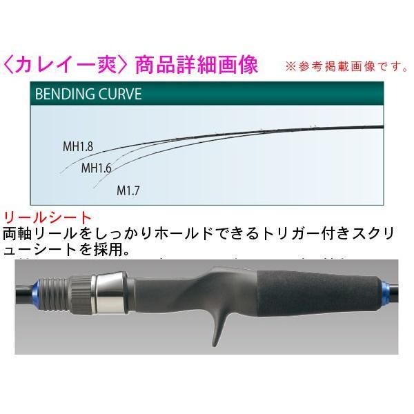 Gamakatsu（がまかつ） がま船 カレイ一爽 ( いっそう ) MH 1.6m 並継 ロッド 船竿 : フーガショップA - 通販 ...