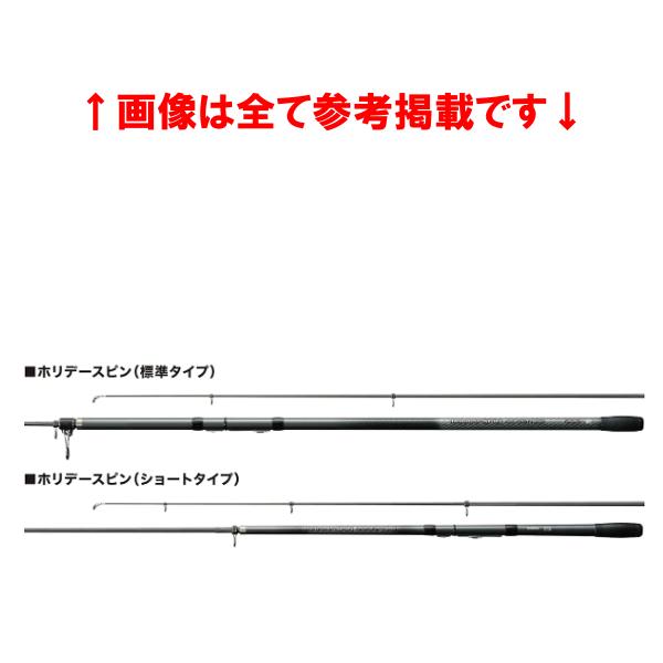 シマノ（SHIMANO） 17 ホリデースピン ( 振出 ) 365FXT ロッド 投竿