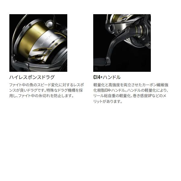シマノ（SHIMANO） （25年11月新商品） 25 ソアレ XR C2500SHG （小型